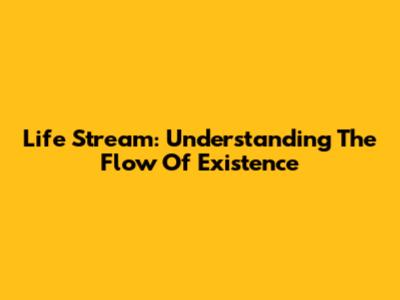 Life Stream: Understanding The Flow Of Existence