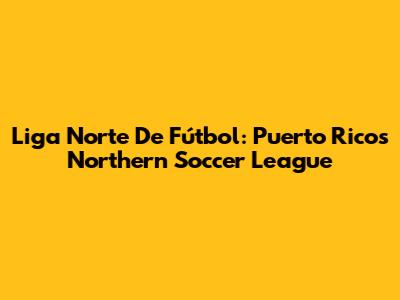 Liga Norte De Fútbol: Puerto Rico's Northern Soccer League