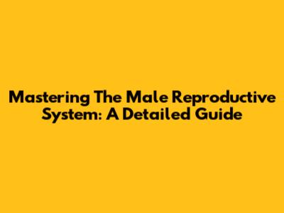 Mastering The Male Reproductive System: A Detailed Guide