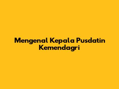 Mengenal Kepala Pusdatin Kemendagri