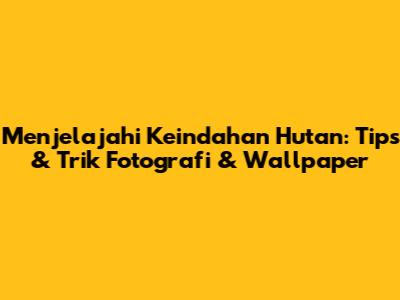 Menjelajahi Keindahan Hutan: Tips & Trik Fotografi & Wallpaper