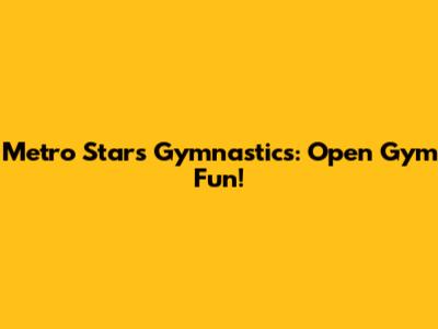 Metro Stars Gymnastics: Open Gym Fun!