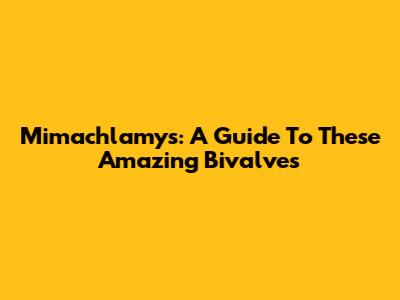 Mimachlamys: A Guide To These Amazing Bivalves