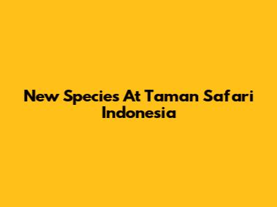 New Species At Taman Safari Indonesia