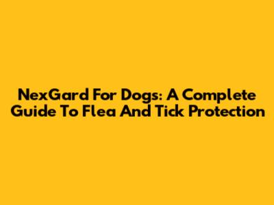 NexGard For Dogs: A Complete Guide To Flea And Tick Protection