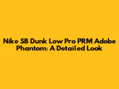 Nike SB Dunk Low Pro PRM Adobe Phantom: A Detailed Look