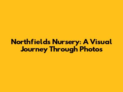 Northfields Nursery: A Visual Journey Through Photos