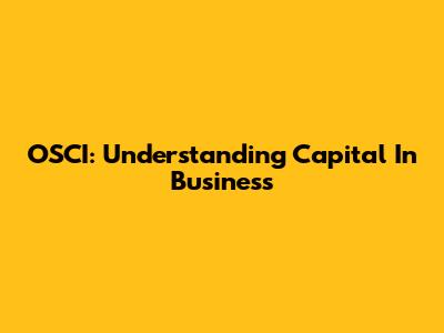 OSCI: Understanding Capital In Business