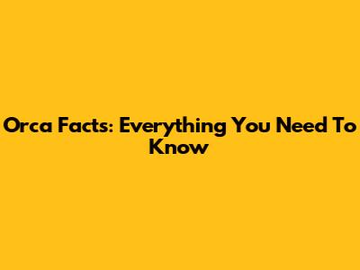 Orca Facts: Everything You Need To Know