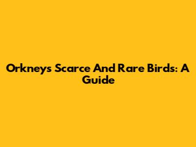Orkney's Scarce And Rare Birds: A Guide