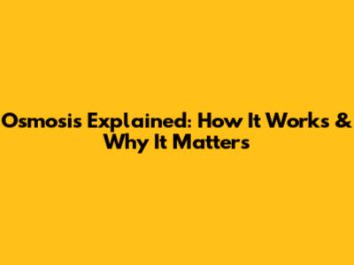 Osmosis Explained: How It Works & Why It Matters