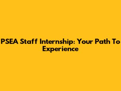 PSEA Staff Internship: Your Path To Experience
