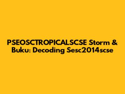 PSEOSCTROPICALSCSE Storm & Buku: Decoding Sesc2014scse