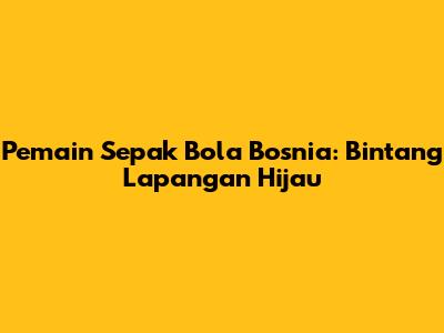 Pemain Sepak Bola Bosnia: Bintang Lapangan Hijau