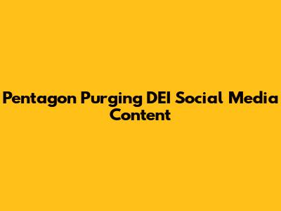 Pentagon Purging DEI Social Media Content