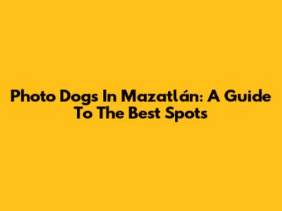 Photo Dogs In Mazatlán: A Guide To The Best Spots