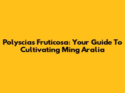 Polyscias Fruticosa: Your Guide To Cultivating Ming Aralia