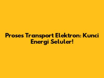 Proses Transport Elektron: Kunci Energi Seluler!