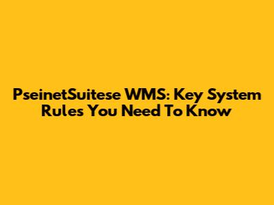 PseinetSuitese WMS: Key System Rules You Need To Know