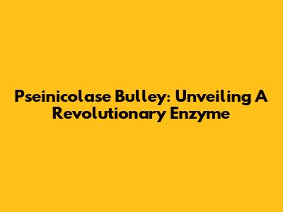 Pseinicolase Bulley: Unveiling A Revolutionary Enzyme