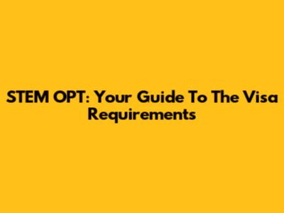 STEM OPT: Your Guide To The Visa Requirements
