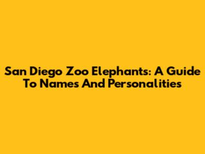 San Diego Zoo Elephants: A Guide To Names And Personalities