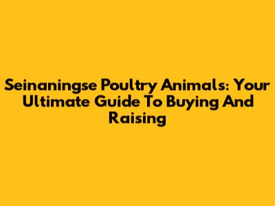 Seinaningse Poultry Animals: Your Ultimate Guide To Buying And Raising