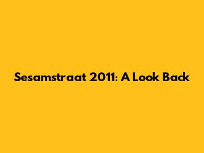 Sesamstraat 2011: A Look Back