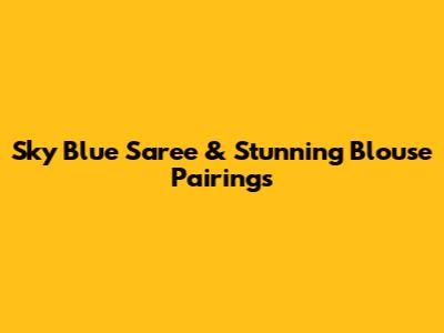 Sky Blue Saree & Stunning Blouse Pairings