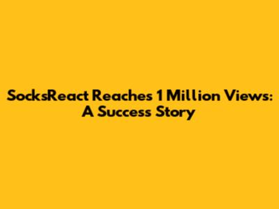 SocksReact Reaches 1 Million Views: A Success Story
