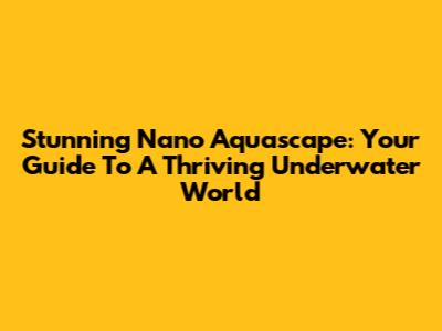 Stunning Nano Aquascape: Your Guide To A Thriving Underwater World