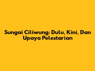 Sungai Ciliwung: Dulu, Kini, Dan Upaya Pelestarian