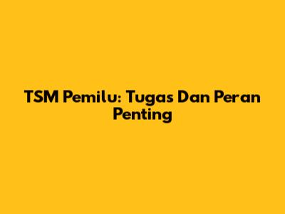 TSM Pemilu: Tugas Dan Peran Penting
