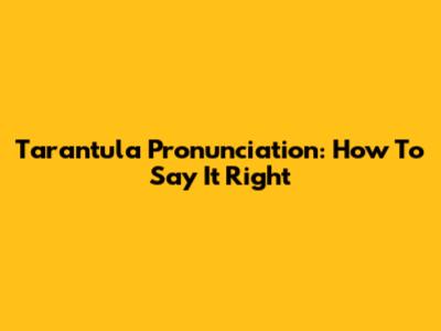 Tarantula Pronunciation: How To Say It Right