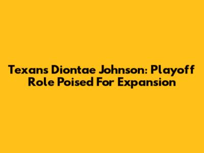 Texans' Diontae Johnson: Playoff Role Poised For Expansion