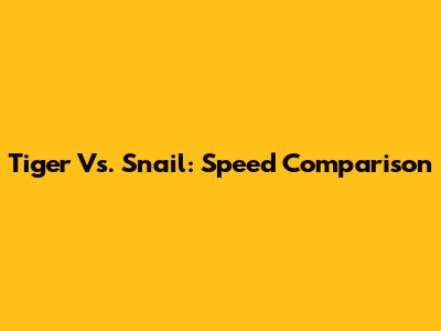 Tiger Vs. Snail: Speed Comparison