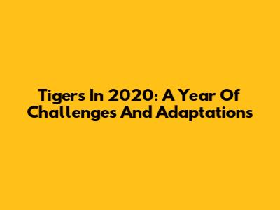 Tigers In 2020: A Year Of Challenges And Adaptations