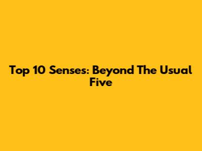Top 10 Senses: Beyond The Usual Five