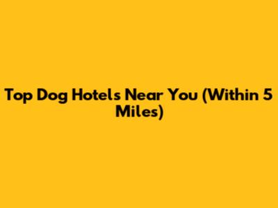 Top Dog Hotels Near You (Within 5 Miles)