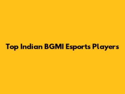 Top Indian BGMI Esports Players