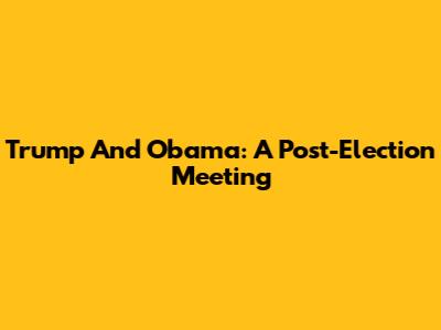 Trump And Obama: A Post-Election Meeting