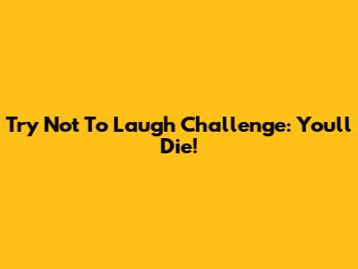 Try Not To Laugh Challenge: You'll Die!