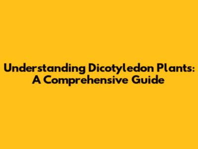Understanding Dicotyledon Plants: A Comprehensive Guide