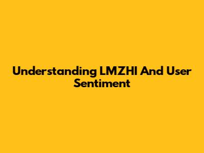Understanding LMZHI And User Sentiment