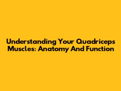 Understanding Your Quadriceps Muscles: Anatomy And Function