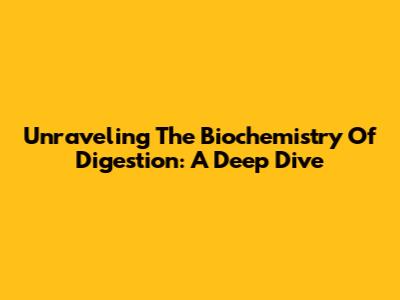 Unraveling The Biochemistry Of Digestion: A Deep Dive