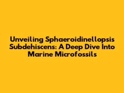 Unveiling Sphaeroidinellopsis Subdehiscens: A Deep Dive Into Marine Microfossils