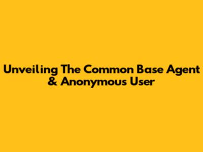 Unveiling The Common Base Agent & Anonymous User