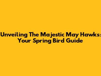 Unveiling The Majestic May Hawks: Your Spring Bird Guide