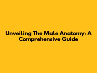 Unveiling The Male Anatomy: A Comprehensive Guide